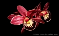 Стилен инфрачервен отоплителен панел InfraHEAT - 'Орхидея', черно стъкло